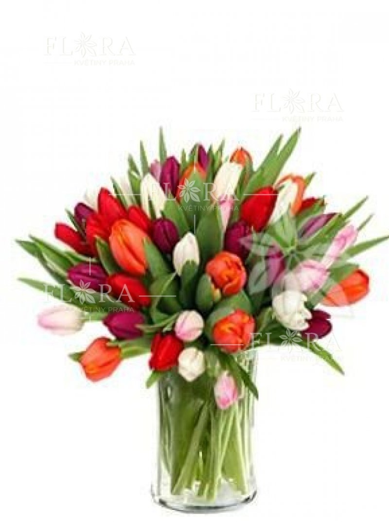Mix farieb tulipány - donáška kvetov v Prahe