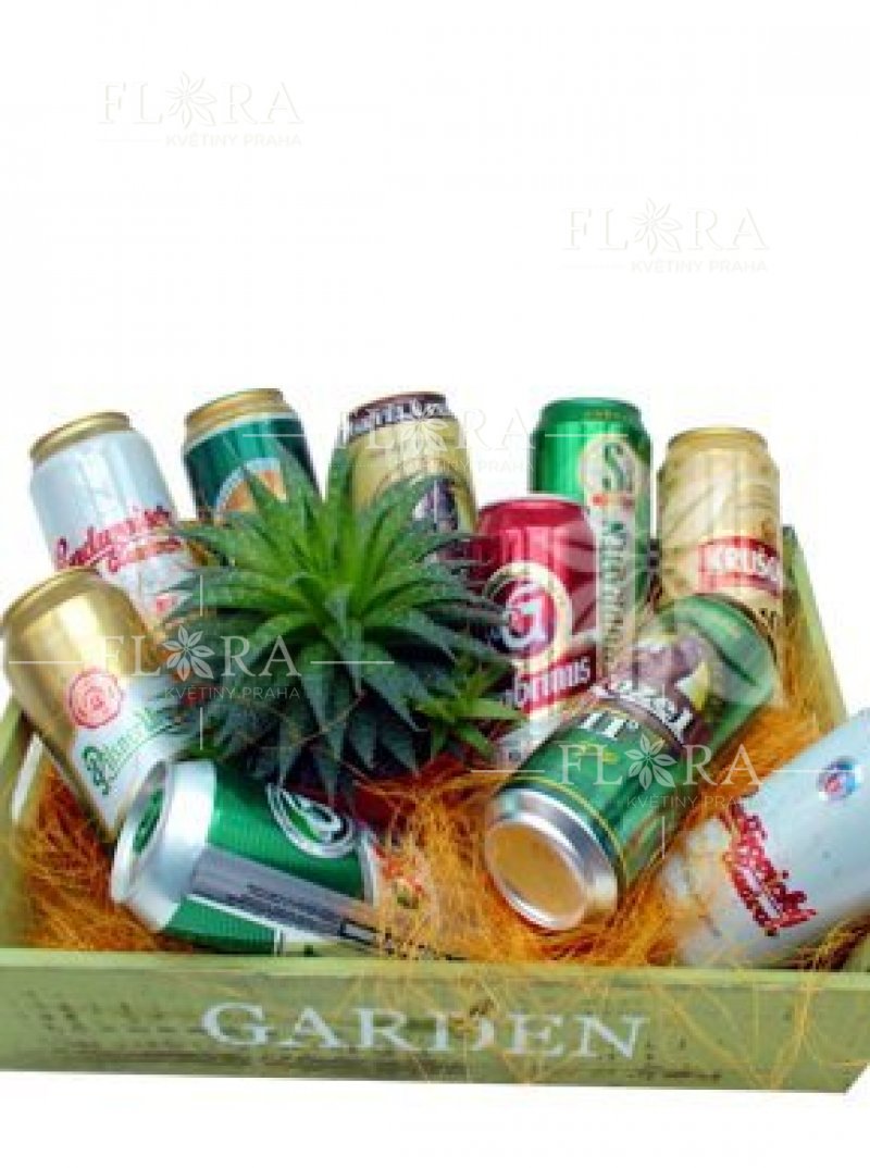 Dárková krabice s pivy a rostlinou