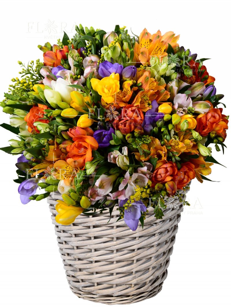 Fragrant flower basket Kasablanka