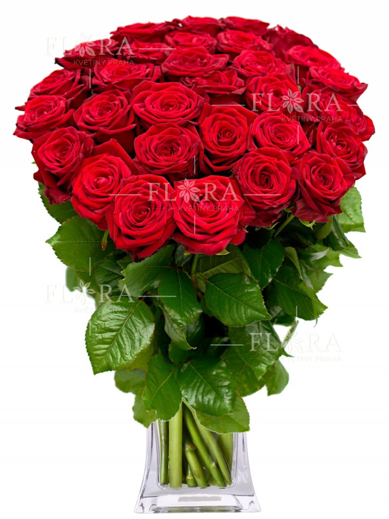 50 červených ruží: Flora Kvety Praha