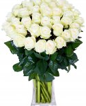 25 White Roses: Flora Flowers Prague