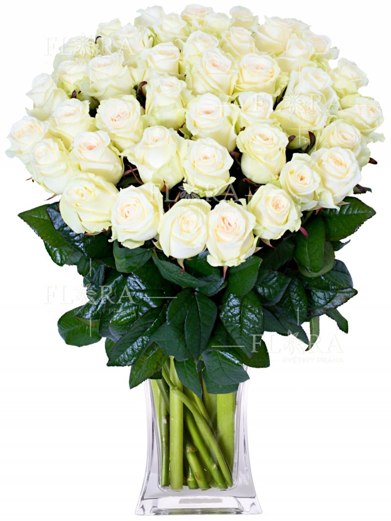 25 White Roses: Flora Flowers Prague