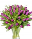 фиолетовые тюльпаны: доставка цветов Прага