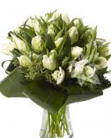 White tulips - delivery of flowers in Prague