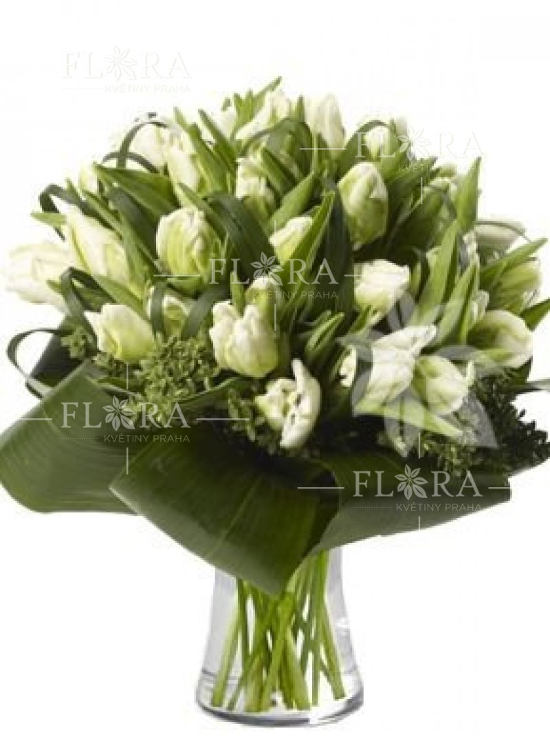 White tulips - delivery of flowers in Prague