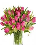 Donáška kvetov v Prahe - tulipány