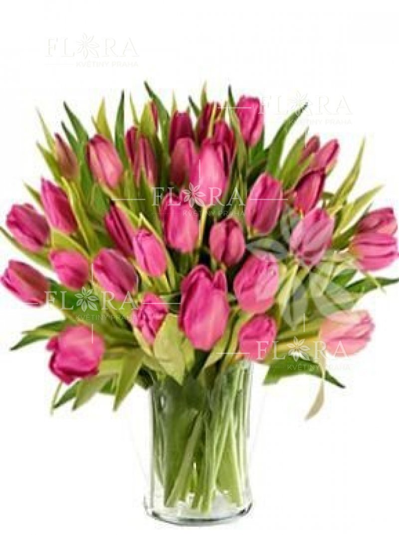 Donáška kvetov v Prahe - tulipány
