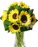 Slunečnice - krásná kytice na rozvoz