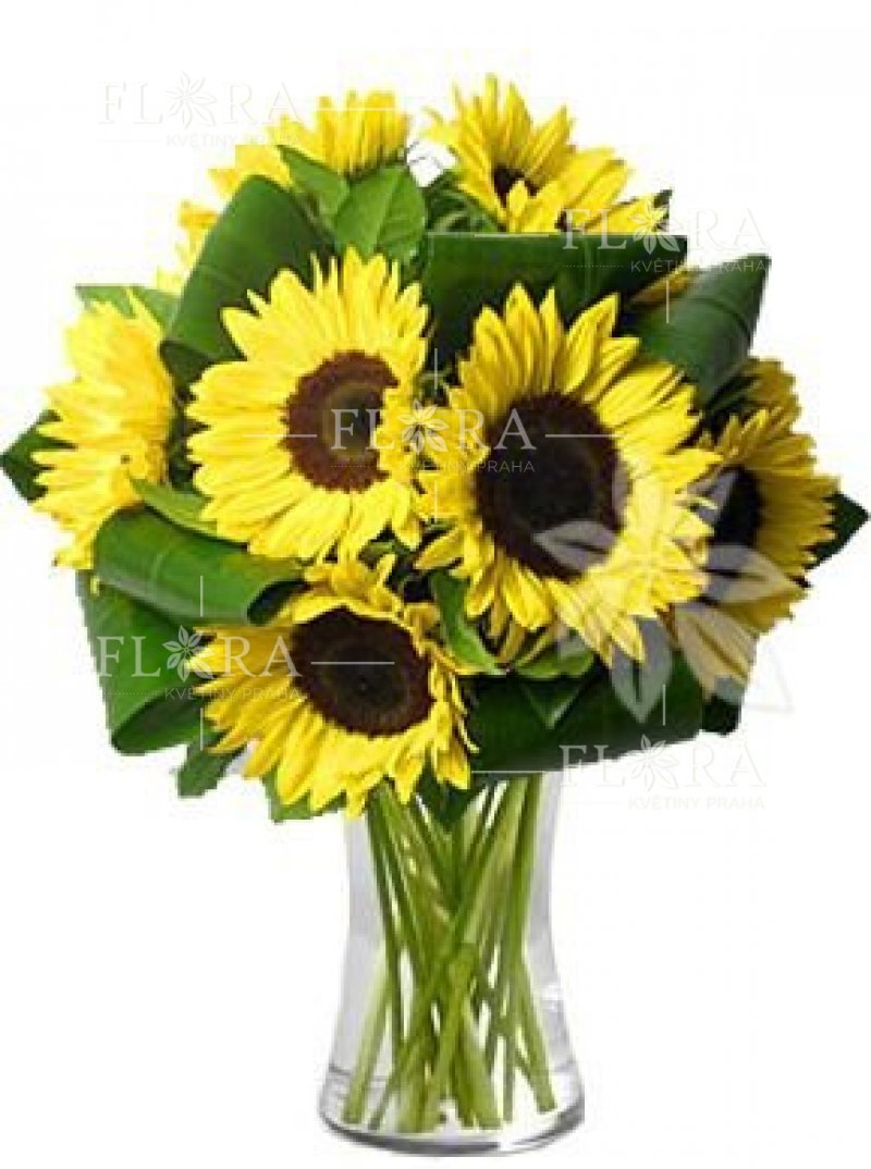 Slunečnice - krásná kytice na rozvoz