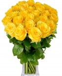 Yellow Roses: Flowers Online Prague