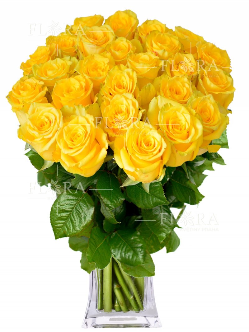 Yellow Roses: Flowers Online Prague