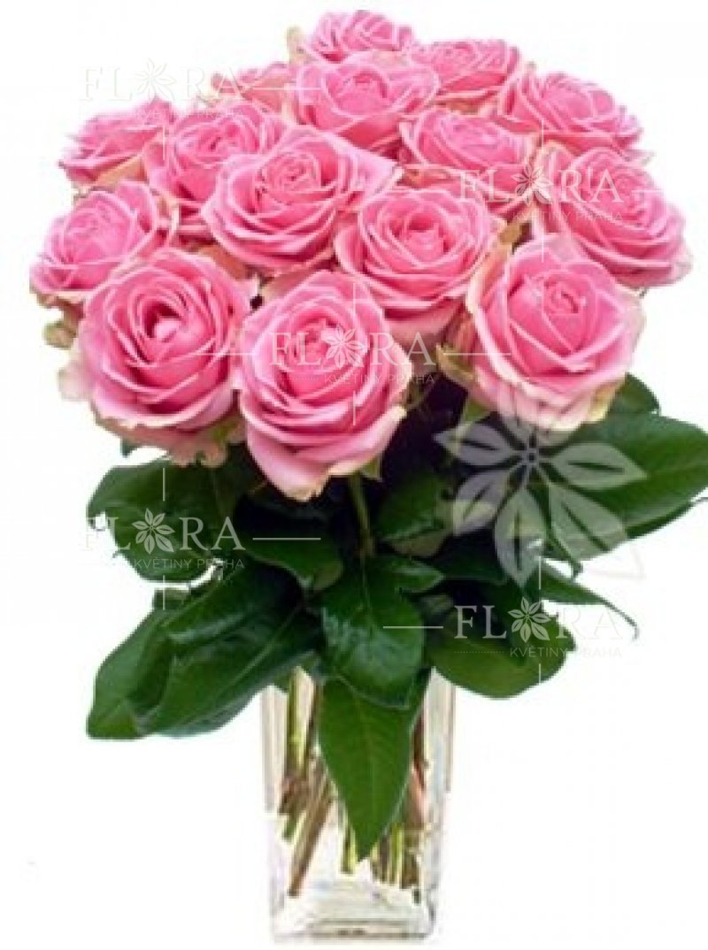 Розовые розы: цветы онлайн Прага