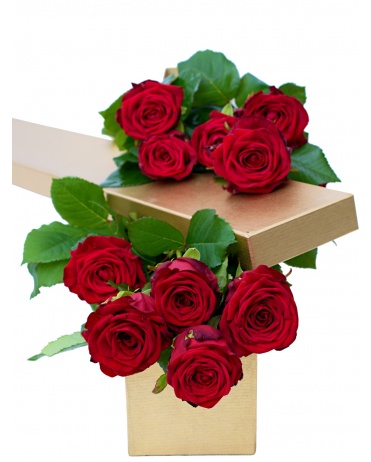 KRABICE ČERVENÝCH RŮŽÍ
