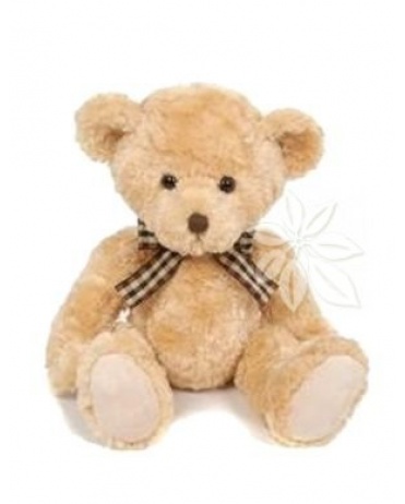 Плюшевый мишка