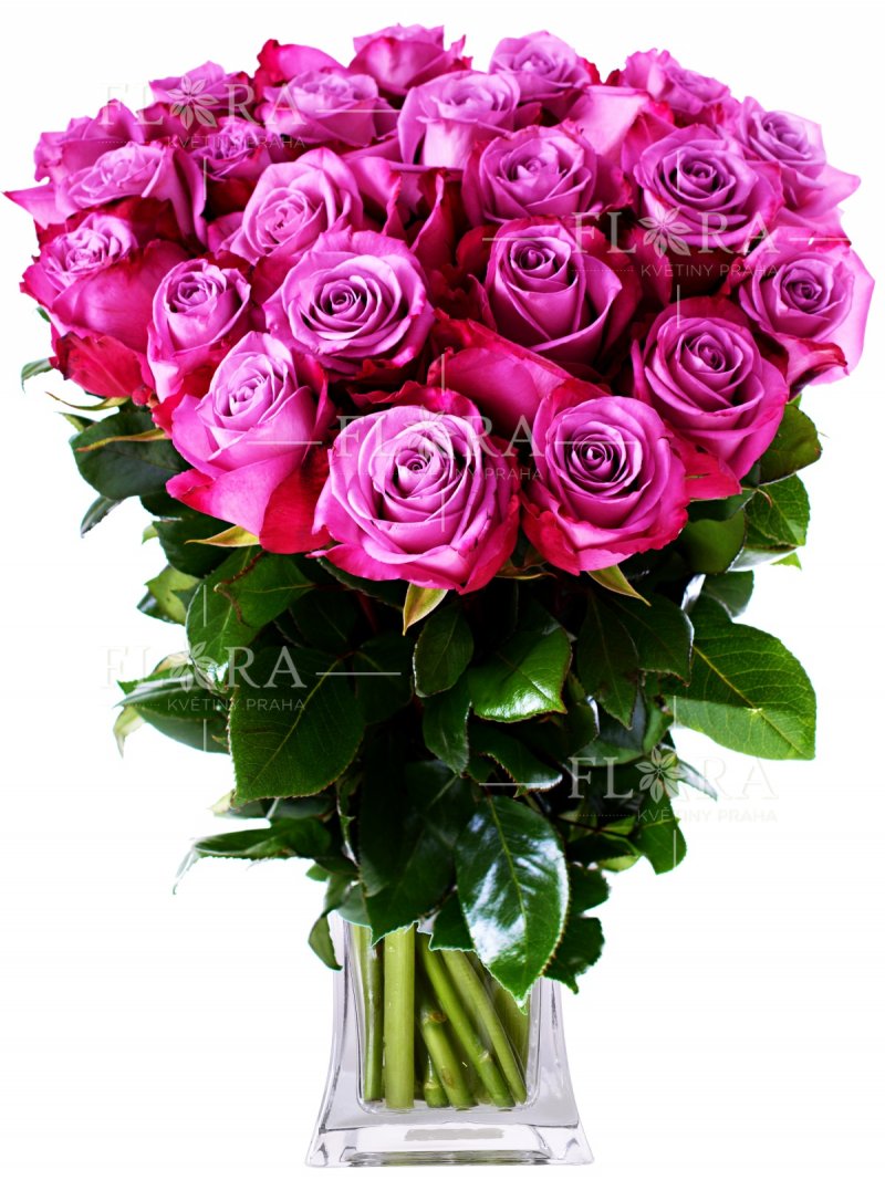 Ekvádorské růže - Flora květiny