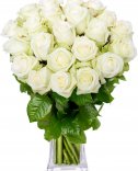 Rozvoz květin v Praze - bílé růže