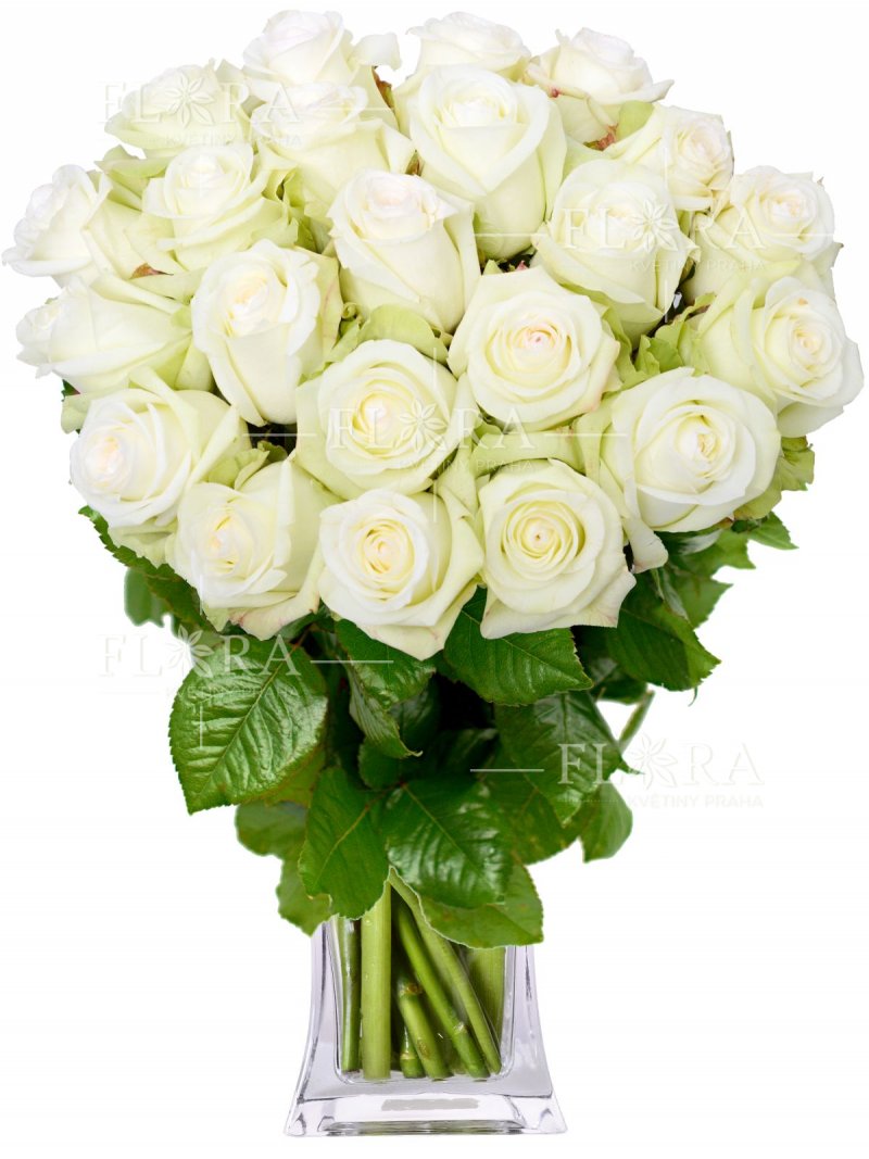 Rozvoz květin v Praze - bílé růže