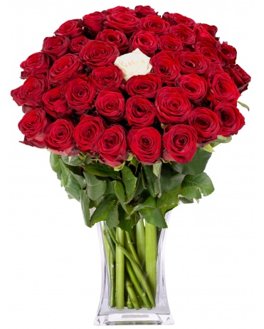 KYTICE ČERVENÝCH RŮŽÍ + 1 BÍLÁ RŮŽE