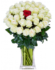 KYTICE BÍLÝCH RŮŽÍ + 1 ČERVENÁ RŮŽE
