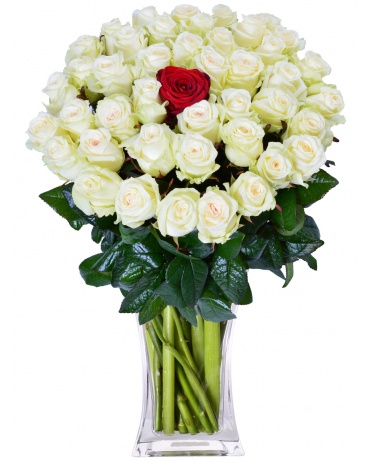 KYTICE BIELYCH RUŽÍ + 1 ČERVENA RUŽE