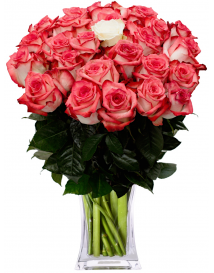 ANNEALING ROSES + 1 WHITE ROSE