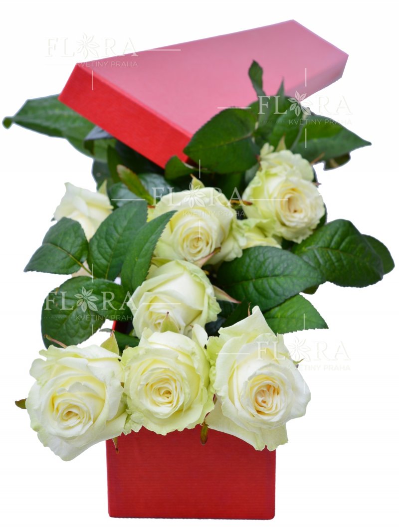Bílé růže: květiny Praha