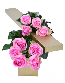 KRABICE RŮŽOVÝCH RŮŽÍ