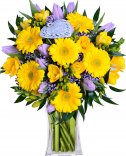 YELLOW GERBERY: Flowers online Prague