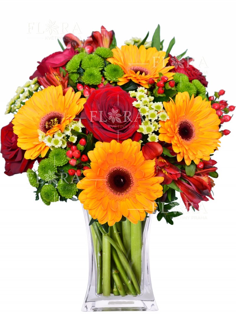 Red Roses and Gerberas: Flowers Online Prague