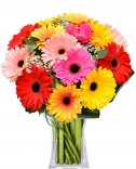 Gerbera bouquet: delivery of flowers Prague