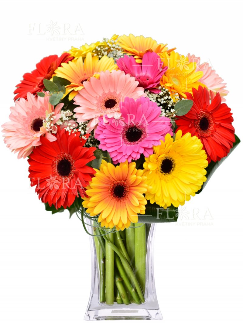 Gerbera bouquet: delivery of flowers Prague