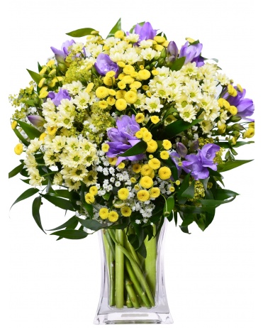 Фрезия + Сантино