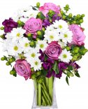 Фиолетовые розы: доставка цветов Прага