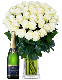 BÍLÉ RŮŽE + Sekt Bohemia brut 0,75l