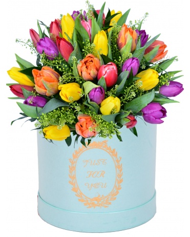 TULIPÁNY + KRABICE + VODNÍ BALENÍ