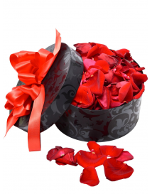 OKVĚTNÍ LÍSTKY - PLÁTKY RŮŽÍ