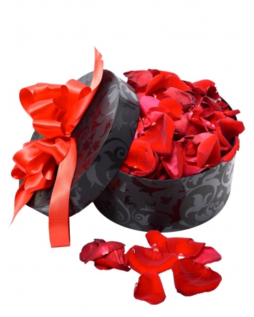 OKVĚTNÍ LÍSTKY - PLÁTKY RŮŽÍ