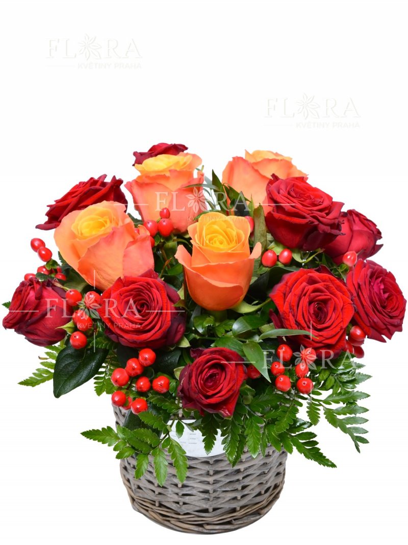 Košík růží : Flora květiny