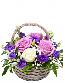 KVĚTINOVÝ KOŠ SENDY