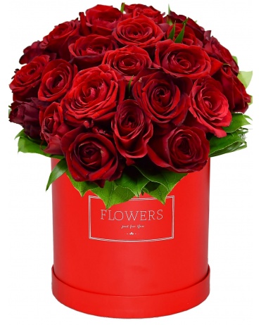 RUDÉ RŮŽE V KRABICI