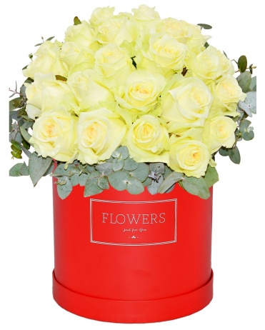 BÍLÉ RŮŽE V KRABICI