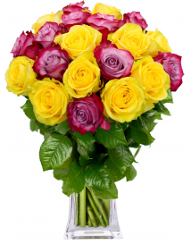 EKVÁDOR RŮŽE HAPPY