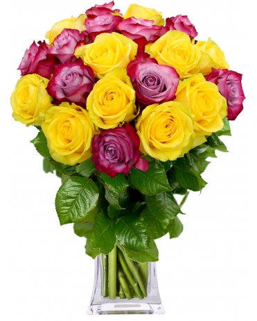 EKVÁDOR RŮŽE HAPPY