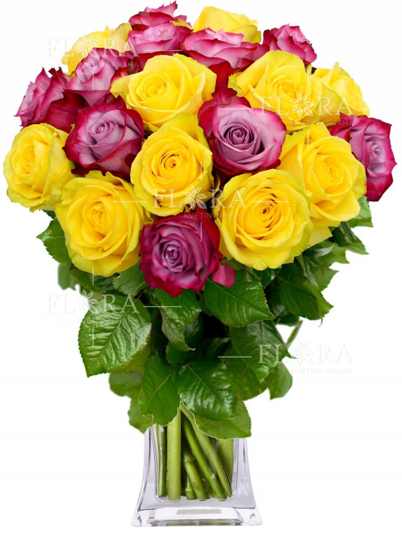 Rozvoz květin v Praze - ekvádorské růže Happy