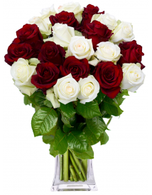 KYTICE RŮŽÍ WHIRE