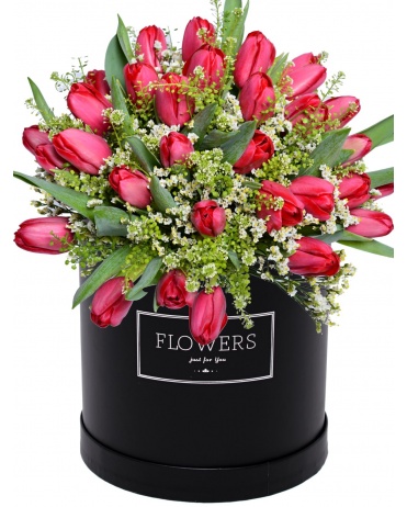 ČERVENÉ TULIPÁNY V KRABICI