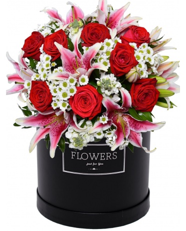 KYTICE BEATA V KRABICI