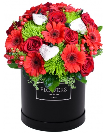 KYTICE AMORE V KRABICI