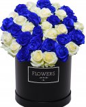 Белые и синие розы в коробке - цветы флоры Прага