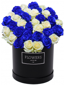 MODRÉ A BÍLÉ RŮŽE V KRABICI